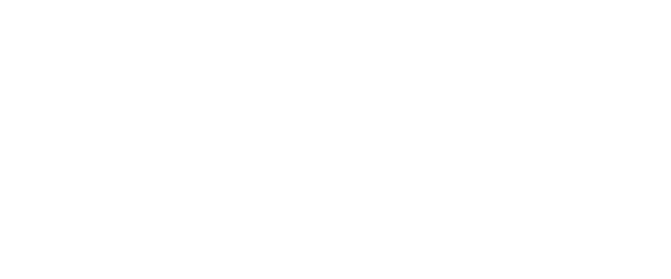 A warrior who protects allies and turns the tide with overwhelming strength.