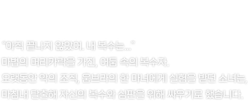 긴 머리카락을 자유자재로 휘둘러 전장을 장악합니다.