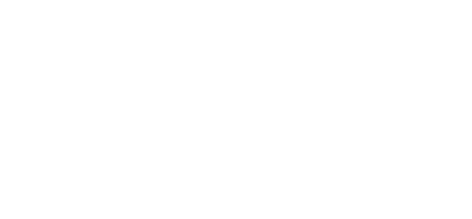 character.tyrfing.description