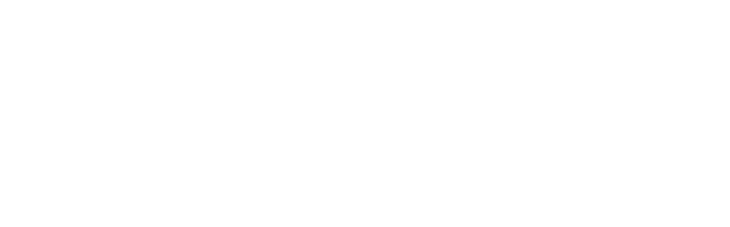 강력한 마법으로 적을 제압하는 어둠의 여왕입니다.