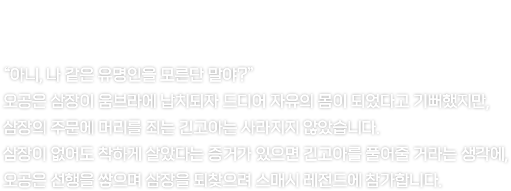 character.wukong.description